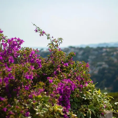 Holiday home Cba Costa Brava - Santa Monica Tossa de Mar